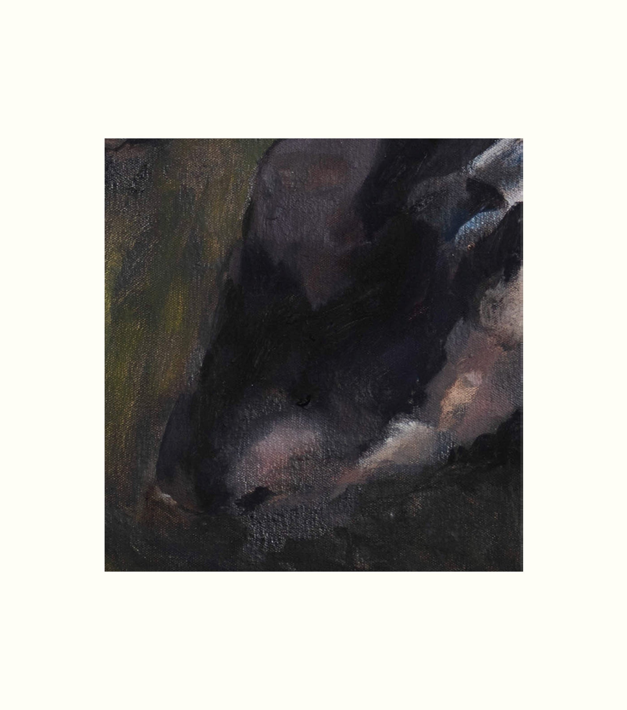 Close-up of a goat's head with a dark background