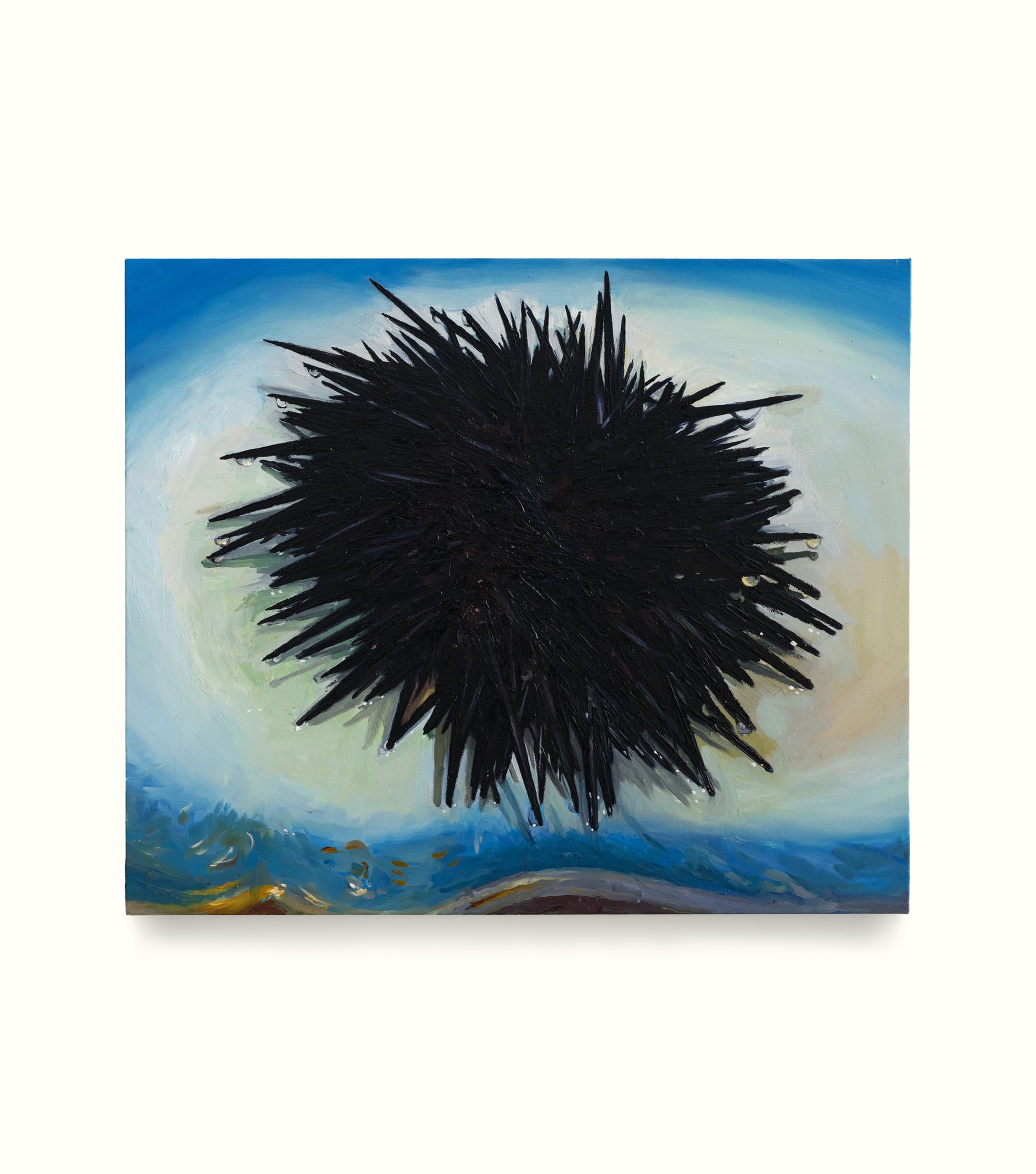 Sea Urchin 2